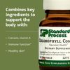 Standard Process Inc. Chlorophyll Complex - Immune Support, Antioxidant Activity, Skin Health and Hair Health Support with Vitamin A, Sunflower Lecithin, Buckwheat, Spanish Moss - 60 Softgels