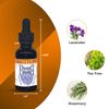 Beasty Beards - Organic Beard Oil - 1floz/30ml - GLUTTONY