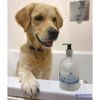 Coconut Dog Shampoo | For Silky Coats | 500ml | Mutneys