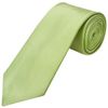 TIES R US Plain Light Sage Satin Classic Men's Tie