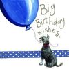 ALEX CLARK Big Birthday Wishes Card