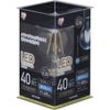Iris Ohyama LED Lamp Filament, E26 Base
