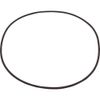 O-Ring, American Prod Titan/Sandpiper, Tank Body,Generic