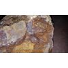 1 LB Genuine Colorado Gold Ore