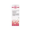 Quebracho D4 DHU Dilution, 20 ml Lösung