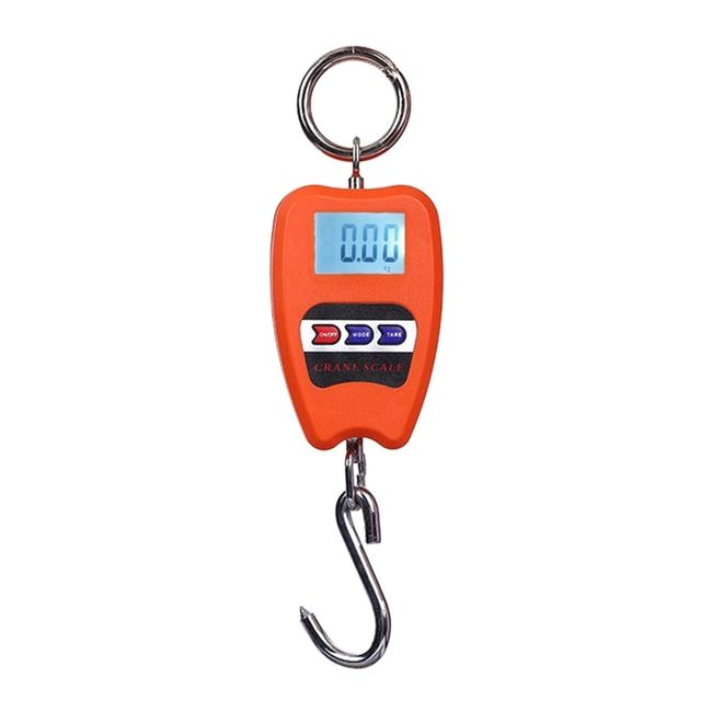 Smart Weigh Post Digital Shipping Weight Scale UPS Usps Post Office Postal  Scale Luggage Scale - China Smart Weigh Post Digital Scale, UPS Usps Weight  Scale