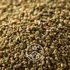 Essential Oil Celery Seed 0.2 oz (5.7 ml)