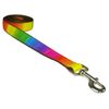 Medium Rainbow Dog Leash: 3/4" Wide, 6ft Length - Made in USA.