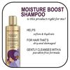Pantene Gold Series Shampoo Moisture Boost 9.1 Ounce (270ml)