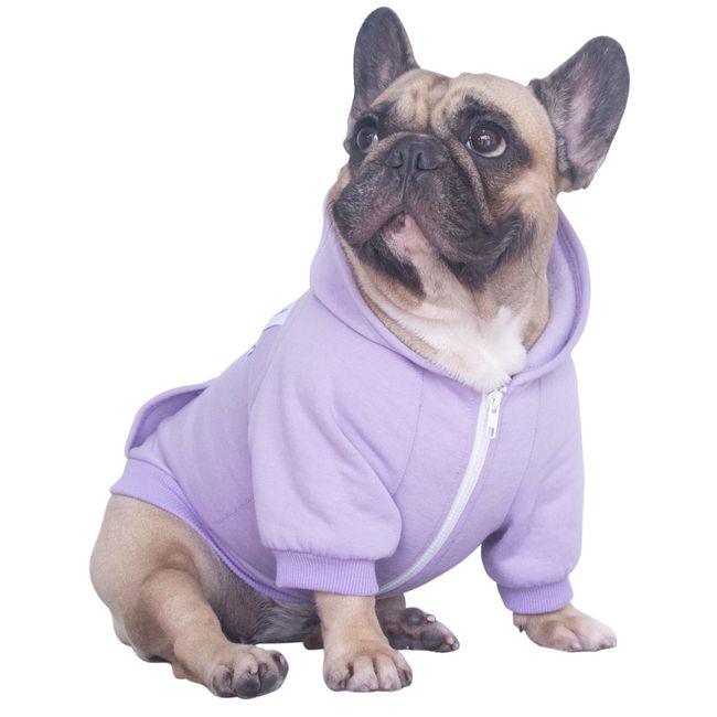 iChoue French Bulldog Frenchie Clothes Hoodies for Dogs Pug English Boston Terrier Bully Pitbull Corgi Sweatshirt Sweater Clothing - Light Purple/Medium