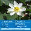 API Pond Accu Clear 32 oz Pond Water Clarifier Clears Cloudy Water Fast