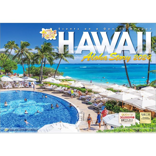 Photo Studio Hawaii 2024 Calendar Wall Hanging Landscape [420 x 297 with Holder]