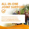 Doctor's Best Glucosamine Chondroitin Msm Joint Support 240 Count Capsules