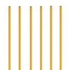 Champion Sports CK60 Coaching Sticks with Base