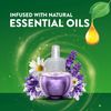 Air Wick Lavender and Chamomile Essential Oils, 5 Refill by Air Wick