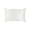 Silk Addict 100% Mulberry Silk Pillowcase Ivory