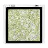MAQUILLAGE GR154 Dramatic Eye Color (Powder), Kiwi Sugar Eyeshadow, Unscented, Main Unit 0.03 oz (0.8 g) (Limited Color Only 0.02 oz (0.6 g))