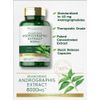 Andrographis Paniculata | 8000 mg | 90 Capsules | Non-GMO | by Carlyle