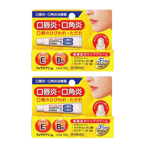 【第3類医薬品】フィクテアLip 10g ×2