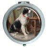 Der Liebling Dog by Carl Reichert Compact Mirror