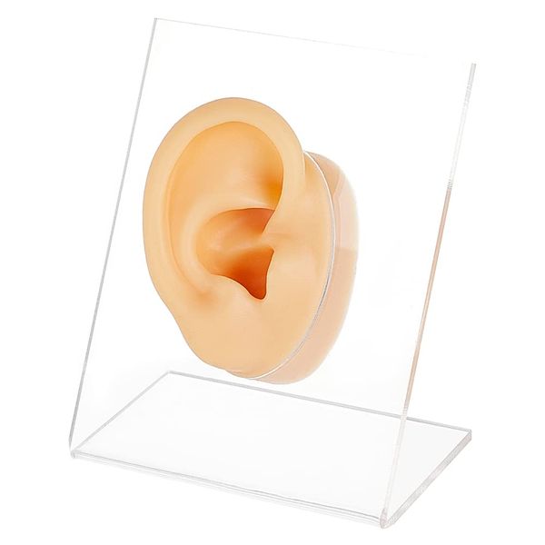 OLYCRAFT 1 Set Silicone Model Ear Model Ear Model Silicone Model Real Ear Model Dummy Ear Acupuncture Practice Painting Window Display Accessories Piercing Practice Earring Model Hearing Aid