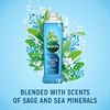 Radox Bath Muscle Soak (500ml x 1)