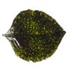 Costa Nova Riviera Hydrangia Leaf, 8.7 inches (22 cm), Foret
