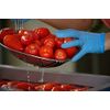 Corbarino Tomatoes - Cherry Tomates Maida Farm - Campania, Italy