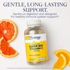 Solaray Super Bio Vitamin C 1000mg, Buffered, Time Release Capsules with Bioflavonoids, Two-Stage for High Absorption & All Day Immune Support, Vegan, 60 Day Guarantee, 125 Servings, 250 VegCaps