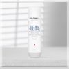 Goldwell Dualsenses Ultra Volume Bodifying Shampoo, 250ml
