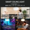 No Construction Required, Bluetooth Compatible, Smart Control, Remote Control, Stylish, Ceiling Light, Dimmable Remote Control, LED Compatible, Long Life, High Brightness, LED Ceiling Light, Easy