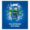 Radox Shower Gel Feel Awake 450ml