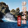 ザ・ベスト 津軽三味線名曲集