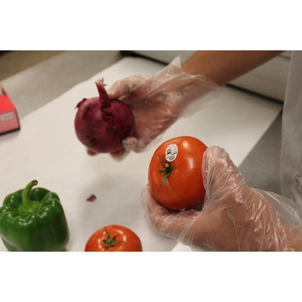 Starryshine 1000 pcs- LARGE- Economical Disposable Clear Polyethylene (PE or Poly) Gloves PowerFree- Food Grade- Kitchen, Home, Restaurant, Cooking, Cleaning, Food Handling, Travel