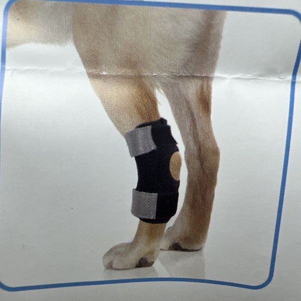 Dog Rear Leg Knee Brace Hock Joint Wrap For Heals and Prevents Injuries XL