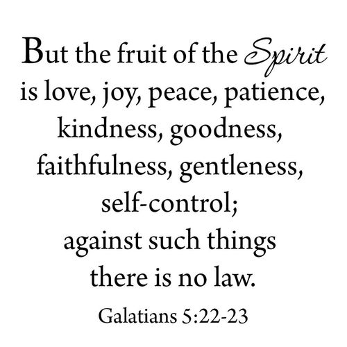 But The Fruit of The Spirit Wall Decal Galatians 5:22-23 Love Joy Peace Patience Kindness Goodness Faithfulness Gentleness Self Control Bible Wall Art Stickers Scripture Faith VWAQ-562
