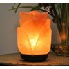 Himalayan Salt Rose Flower Shape Lamp, Salt Ionizer, Dimmer Switch, Decor, 8"