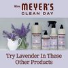 Mrs. Meyer's Liquid Hand Soap Refill Variety Pack, 1 Basil, 1 Lavender, 2 CT