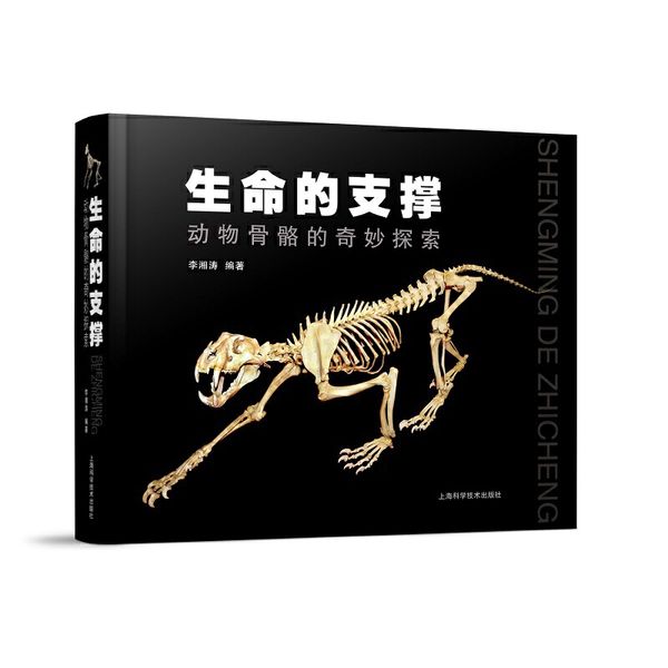 生命的支撑——动物骨骼的奇妙探索