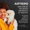 Artero Shampoo Detox 250Ml