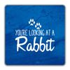 Shopagift Your Looking at a Rabbit 2 Pack Coasters - 9cm x 9cm