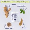 Constipation, Bloating, & Gas Relief | Relief from Diarrhea, & IBS | Pro...