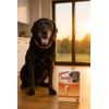 Senilife Supplement Capsules for Elderly Dogs