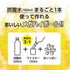 Doshisha Drinking Mega Stein 3.3 gal (1.0 L) Silver Black Handle