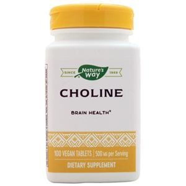 Nature's Way Choline (500mg)  100 tabs