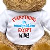Big Red Egg EVERYTHING IN MODERATION EXCEPT WINE - Teddy Bear - Cute Soft Cuddly Adorable - Gift Present