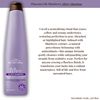 2-Pack PLife BlueBerry Silver Conditioner & Silver Shampoo 350mL Each One