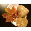 Moisturizer Shea Butter Organic Shampoo. 