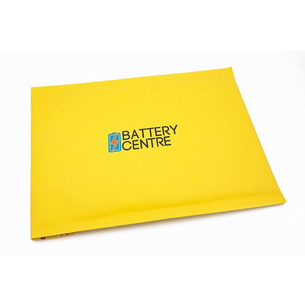 Cameron Sino Replacement Battery for HumanWare New Stream