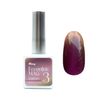 Petit Pla Official Matey Eccentric Magnetgel Eccentric Magnet Gel (3) Dramatic, 0.3 fl oz (8 ml)